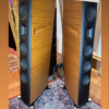 Borresen 03 T2S walnut- mint