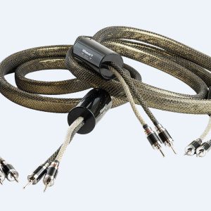 HiDiamond Speaker TOP Gold