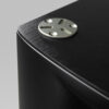 Borresen BM2 bass module subwoofer