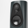 Linn 343