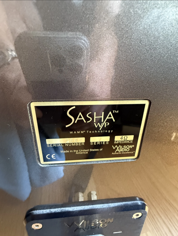 Wilson Sasha 2