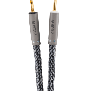 Ansuz Speakz D-TC3